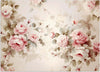 Carta-Da-Parati,-Rose-Shabby-Chic