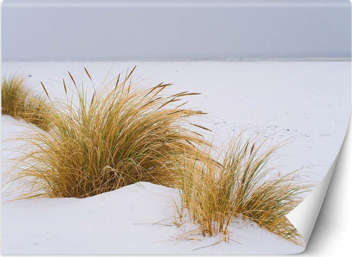 Carta-Da-Parati,-Spiaggia-Lago-Dune-Paesaggio