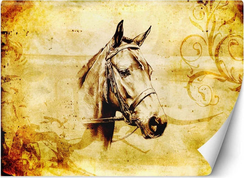 Carta-Da-Parati,-Testa-di-cavallo-retrò