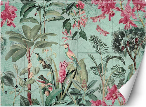 Carta-Da-Parati,-Uccelli-Fiori-tropicali