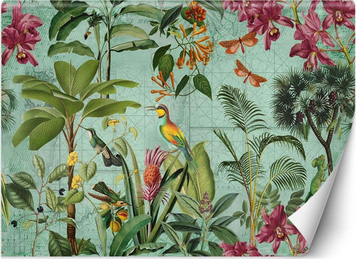 Carta-Da-Parati,-Uccelli-tra-foglie-tropicali