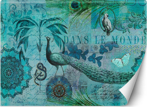 Carta-Da-Parati,-Uccelli-tropicali-Cartolina-turchese
