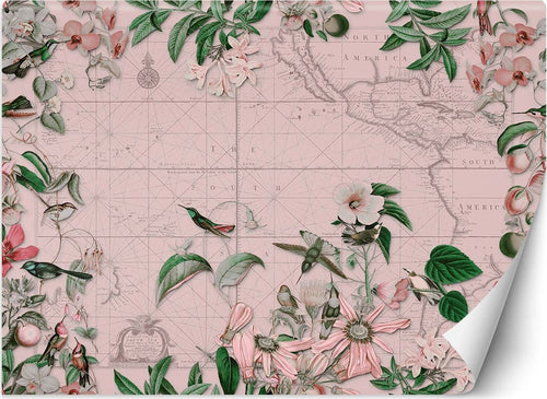 Carta-Da-Parati,-Uccelli-tropicali-foglie
