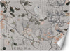 Carta-Da-Parati,-Vecchia-mappa-e-uccelli