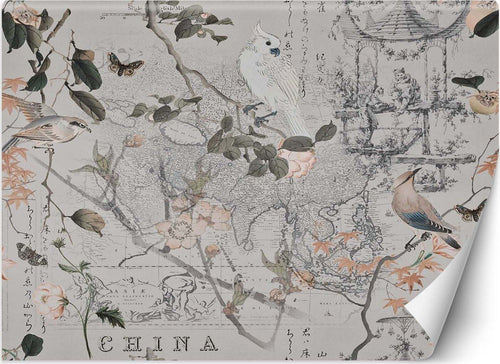Carta-Da-Parati,-Vecchia-mappa-e-uccelli