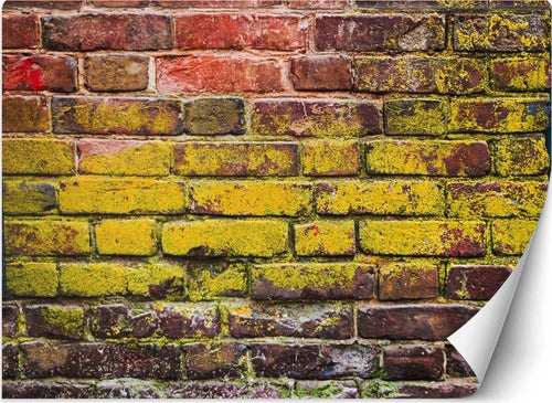 Carta-Da-Parati,-Vecchio-muro-di-mattoni-colorati
