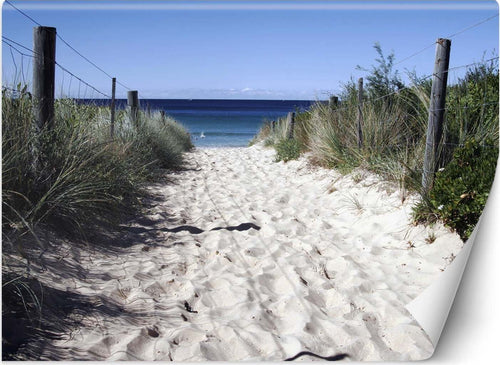 Carta-Da-Parati,-Via-per-la-spiaggia