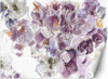 Carta-Da-Parati,-Viollet-viola-Iris-Flower-dipinto-a-mano