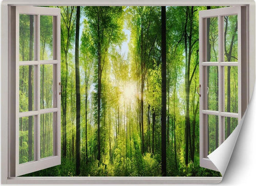 Carta-Da-Parati,-Vista-finestra-raggi-di-sole-nella-foresta