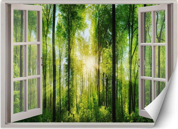 Carta-Da-Parati,-Vista-finestra-raggi-di-sole-nella-foresta