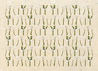 CARTA-DECOUPAGE-SOFT-PAPER-TO-DO-ART-98689-MISURA-50X70CM