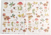 CARTA-DECOUPAGE-SOFT-PAPER-TO-DO-ART-99007-MISURA-50X70CM