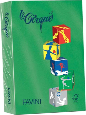 Carta Le Cirque - A4 - 160 gr - verde bandiera 208 - Favini - conf. 250 fogli Casa e cucina/Hobby creativi/Carta e lavorazione della carta/Carta/Carta decorativa Eurocartuccia - Pavullo, Commerciovirtuoso.it