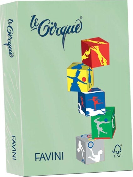 Carta Le Cirque - A4 - 160 gr - verde pastello 107 - Favini - conf. 250 fogli Casa e cucina/Hobby creativi/Carta e lavorazione della carta/Carta/Carta decorativa Eurocartuccia - Pavullo, Commerciovirtuoso.it