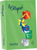 Carta Le Cirque - A4 - 160 gr - verde prato 203 - Favini - conf. 250 fogli Casa e cucina/Hobby creativi/Carta e lavorazione della carta/Carta/Carta decorativa Eurocartuccia - Pavullo, Commerciovirtuoso.it