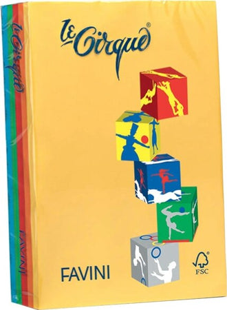 Carta Le Cirque - A4 - 80 gr - mix 5 colori intensi - Favini - conf. 500 fogli Casa e cucina/Hobby creativi/Carta e lavorazione della carta/Carta/Carta decorativa Eurocartuccia - Pavullo, Commerciovirtuoso.it