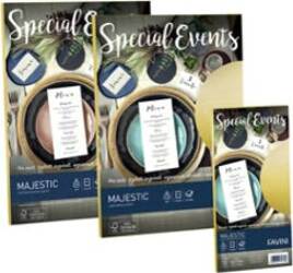 Carta metallizzata Special Events - A4 - 250 gr - azzurro - Favini - conf. 10 fogli Casa e cucina/Hobby creativi/Carta e lavorazione della carta/Carta/Carta decorativa Eurocartuccia - Pavullo, Commerciovirtuoso.it