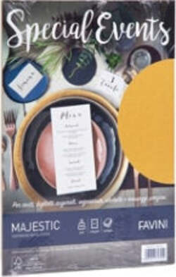 Carta metallizzata Special Events - A4 - 250 gr - oro - Favini - conf. 10 fogli Casa e cucina/Hobby creativi/Carta e lavorazione della carta/Carta/Carta decorativa Eurocartuccia - Pavullo, Commerciovirtuoso.it