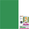 Carta-velina-21-grammi-verde-50x76-cf.24-fogli-Cwr