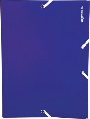 Cartella 3L Colorosa - PPL - A4 - colori assortiti - Ri.Plast [multipack] 24 pezzi Cancelleria e prodotti per ufficio/Archivio ufficio e accessori per scrivania/Archivio ufficio/Cartelle/Cartelle portadocumenti Eurocartuccia - Pavullo, Commerciovirtuoso.it