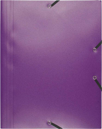 Cartellina 3 lembi - con elastici - PPL - 24x32 cm - viola - Exacompta [multipack] 30 pezzi Cancelleria e prodotti per ufficio/Archivio ufficio e accessori per scrivania/Archivio ufficio/Cartelle/Cartelle portadocumenti Eurocartuccia - Pavullo, Commerciovirtuoso.it