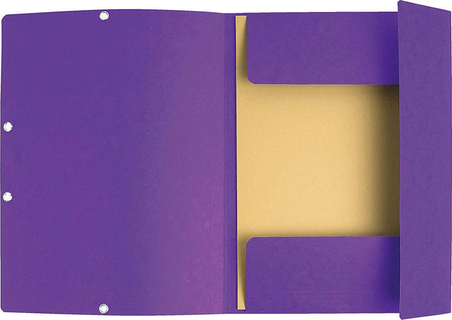Cartellina con Elastici, 24x32 cm, viola Exacompta 55508E Cancelleria e prodotti per ufficio/Archivio ufficio e accessori per scrivania/Archivio ufficio/Cartelle/Cartelle portadocumenti Scontolo.net - Potenza, Commerciovirtuoso.it
