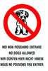 CARTELLO NOI NON POSSIAMO ENTRARE CANE GATTI DIVIETO SEGNALETICA AVVERTIMENTO  Trade Shop italia - Napoli, Commerciovirtuoso.it