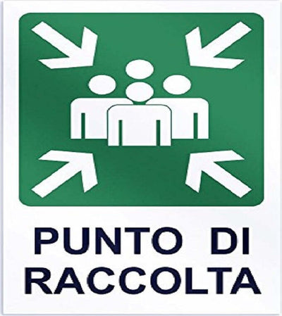 CARTELLO PUNTO DI RACCOLTA SEGNALETICA DIREZIONALE SICUREZZA AVVERTIMENTO  Trade Shop italia - Napoli, Commerciovirtuoso.it