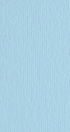 Cartoncino Elle Erre - 50x70cm - 220gr - celeste 118 - Fabriano - blister 20 fogli Casa e cucina/Hobby creativi/Carta e lavorazione della carta/Carta/Cartoncino colorato Eurocartuccia - Pavullo, Commerciovirtuoso.it
