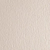 Cartoncino Elle Erre - 70x100cm - 220gr - avorio 101 - Fabriano - blister 10 fogli Casa e cucina/Hobby creativi/Carta e lavorazione della carta/Carta/Cartoncino colorato Eurocartuccia - Pavullo, Commerciovirtuoso.it