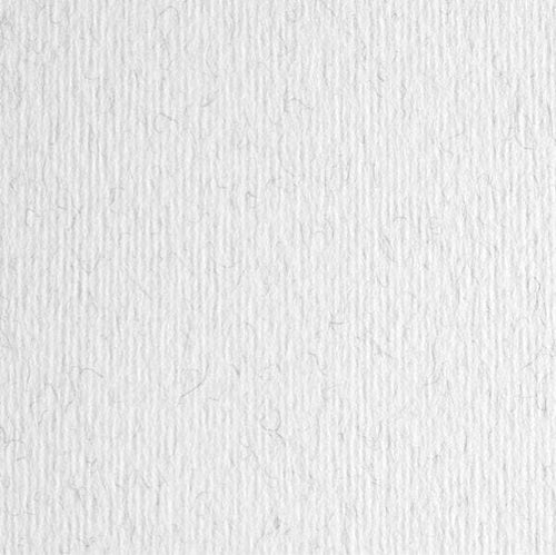 Cartoncino Elle Erre - 70x100cm - 220gr - brina 129 - Fabriano - blister 10 fogli Casa e cucina/Hobby creativi/Carta e lavorazione della carta/Carta/Cartoncino colorato Eurocartuccia - Pavullo, Commerciovirtuoso.it