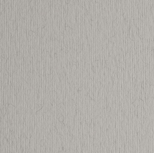 Cartoncino Elle Erre - 70x100cm - 220gr - china 130 - Fabriano - blister 10 fogli Casa e cucina/Hobby creativi/Carta e lavorazione della carta/Carta/Cartoncino colorato Eurocartuccia - Pavullo, Commerciovirtuoso.it