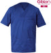 Casacca a V Alberto Royal Bluette Manica Corta Tessuto Satin Uomo Medico Farmacista Dentista Infermiere