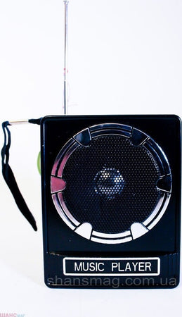 Cassa Radio FM USB SD Jack Aux MP3 speaker radio Elettronica/Audio e video portatile/Radio Trade Shop italia - Napoli, Commerciovirtuoso.it