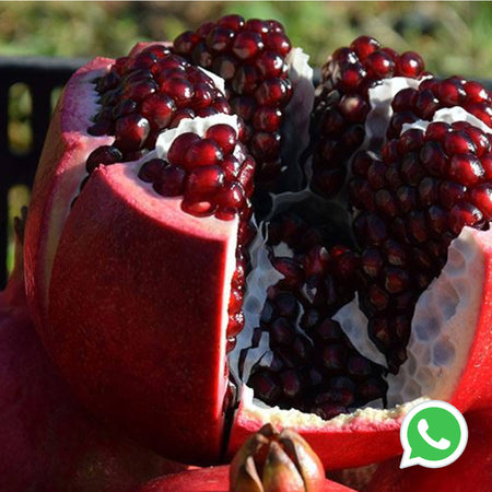 Cassetta Melagrana Siciliana Melograno Siciliano Senza Ogm Origine Sicilia Varietà Wonderful Il Melograno Peloritano