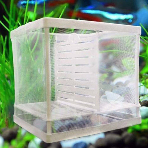 CASSETTA PER ACQUARIO ALLEVAMENTO SEPARA PESCI PROTEGGI UOVA INCUBATRICE PICCOLA Prodotti per animali domestici/Pesci e animali d'acqua/Sale parto Trade Shop italia - Napoli, Commerciovirtuoso.it