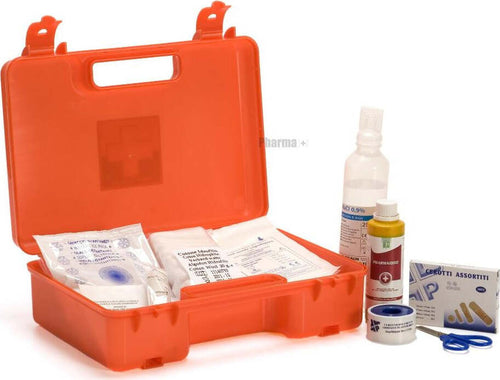Cassetta pronto soccorso Pharma+ 30,9 x 20,9 x 9,7 cm 100026/AR Salute e cura della persona/Prodotti per la medicazione/Pronto soccorso/Kit di pronto soccorso/Casa e lavoro Scontolo.net - Potenza, Commerciovirtuoso.it