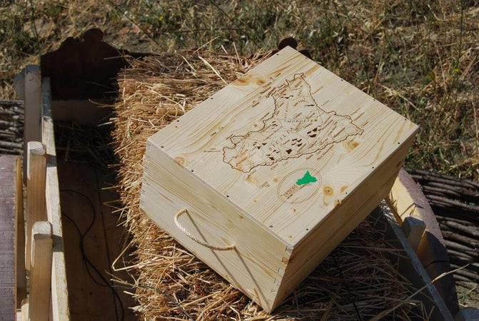 Cassetta in Legno Fatta a Mano con Sicilia Litografata