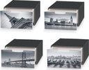 Cassetto-ordinatore-Domoliving-QBM010-MINI-CITY-assortito