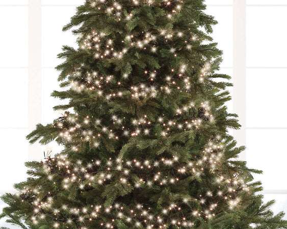 Catena lineare a LED luce calda con 8 funzioni luminose, rotolo da 27 metri Casa e cucina/Decorazioni per interni/Addobbi e decorazioni per ricorrenze/Decorazioni natalizie/Luci natalizie/Catene luminose per interni MagiediNatale.it - Altamura, Commerciovirtuoso.it