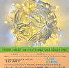 catena-luminosa-100-led-10-metri-filo-bianco-luce-giallo-ip65-/ET4103