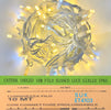catena-luminosa-100-led-10-metri-filo-bianco-luce-giallo-ip65-/ET4103