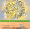Catena-luminosa-100-led-luci-di-Natale-10-metri-prolungabile-da-esterno-ip65-balconi-terrazze-giardino
