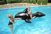 Cavalcabile A Forma Di Orca Gonfiabile Grande 203x102cm 3+anni Con Maniglie 41009 Giochi e giocattoli/Sport e giochi all'aperto/Giochi aquatici e piscine per bambini/Canotti e gonfiabili galleggianti Trade Shop italia - Napoli, Commerciovirtuoso.it