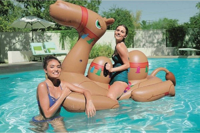 Cavalcabile Cammello Gonfiabile 221 X 132 Cm Con Maniglie Per Mare Piscina 41125 Giochi e giocattoli/Sport e giochi all'aperto/Giochi aquatici e piscine per bambini/Canotti e gonfiabili galleggianti Trade Shop italia - Napoli, Commerciovirtuoso.it