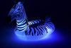 Cavalcabile Fashion Gonfiabile Zebra Gigante Con Luci Led Piscina 254x142cm 41406 Giochi e giocattoli/Sport e giochi all'aperto/Giochi aquatici e piscine per bambini/Canotti e gonfiabili galleggianti Trade Shop italia - Napoli, Commerciovirtuoso.it