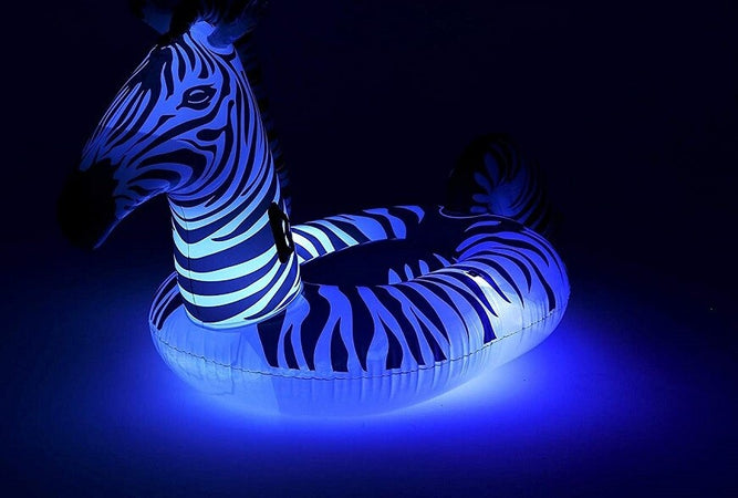 Cavalcabile Fashion Gonfiabile Zebra Gigante Con Luci Led Piscina 254x142cm 41406 Giochi e giocattoli/Sport e giochi all'aperto/Giochi aquatici e piscine per bambini/Canotti e gonfiabili galleggianti Trade Shop italia - Napoli, Commerciovirtuoso.it