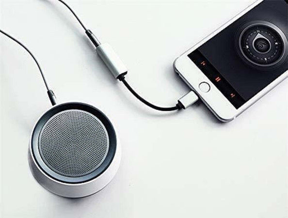Cavo Ricarica Adattatore Audio 2 In 1 Lightning Cuffie Jack 3,5mm Iphone Ip-7789 Elettronica/Home Audio e Hi-Fi/Accessori/Cavi/Cavi ottici Trade Shop italia - Napoli, Commerciovirtuoso.it