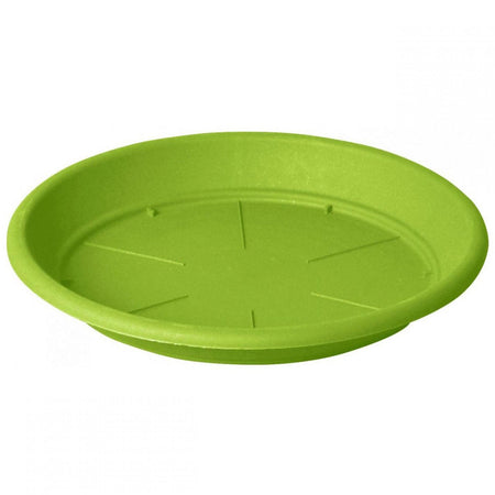 Sottovaso "Tondo Basic'' per fiori e piante da giardino