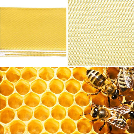 Cera D’api Vergine 100% Italiana Cera Grezza Nido D’ape Per Candele Mobili Creme E Saponi Fai da te, casalinghi, casa, cosmetica LAIAN NATURA -Torre Annunziata, Commerciovirtuoso.it